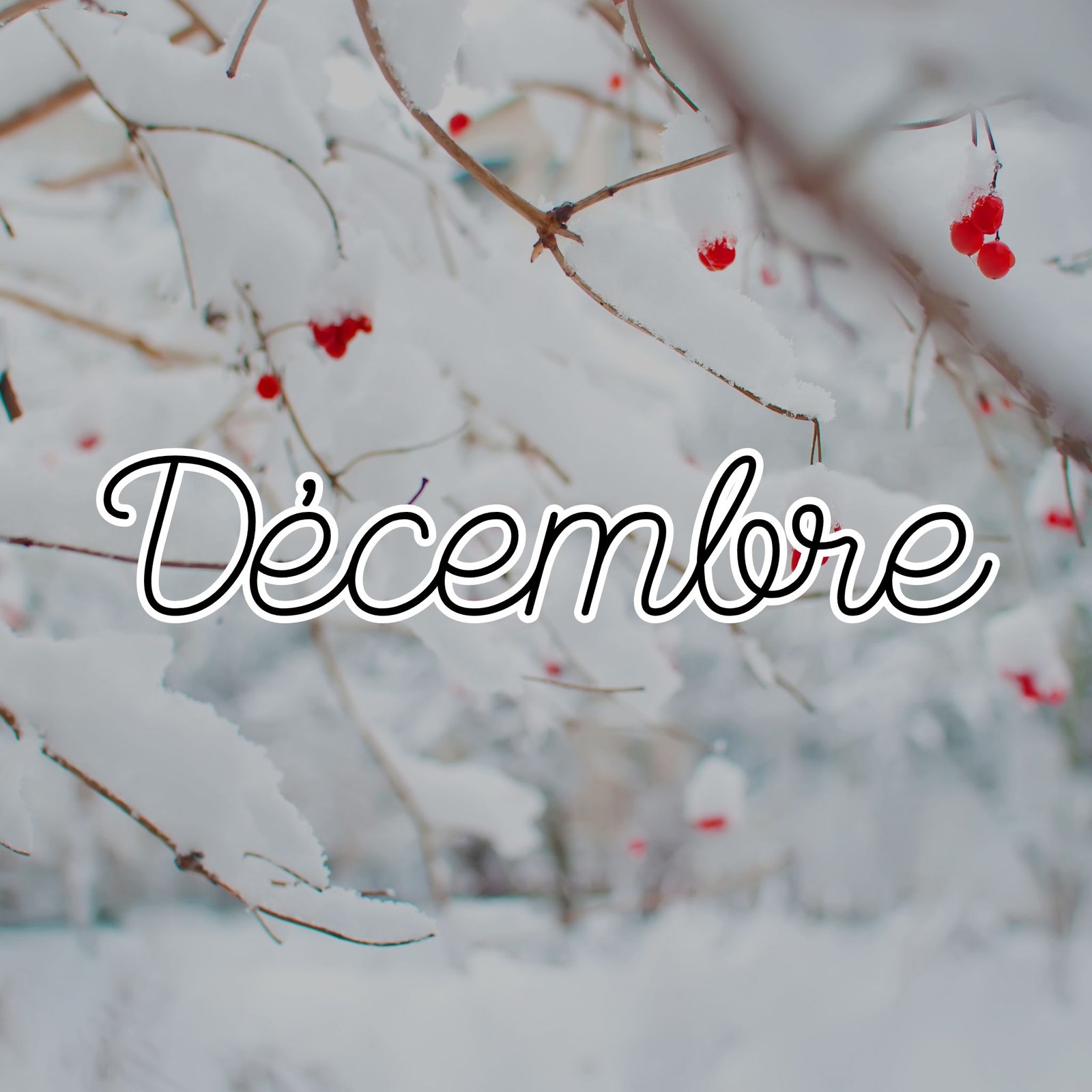 DECEMBRE