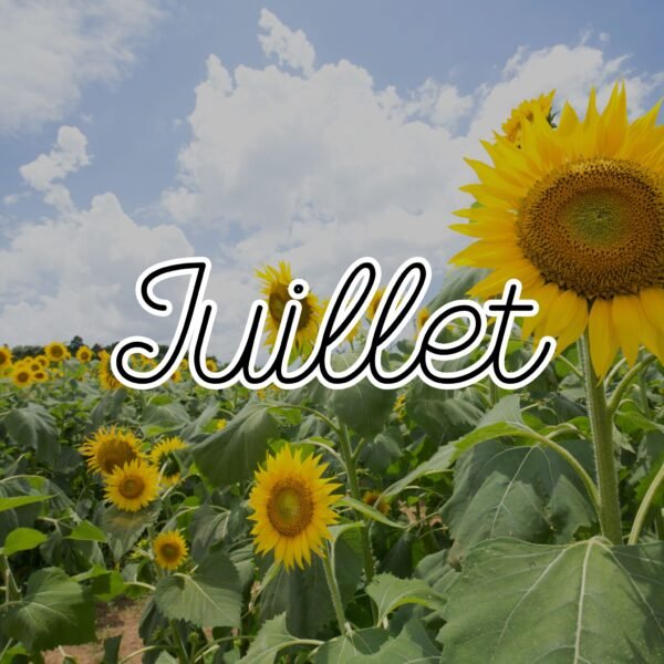 JUILLET