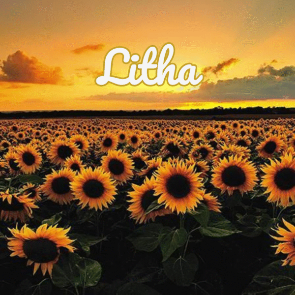 fête de Litha