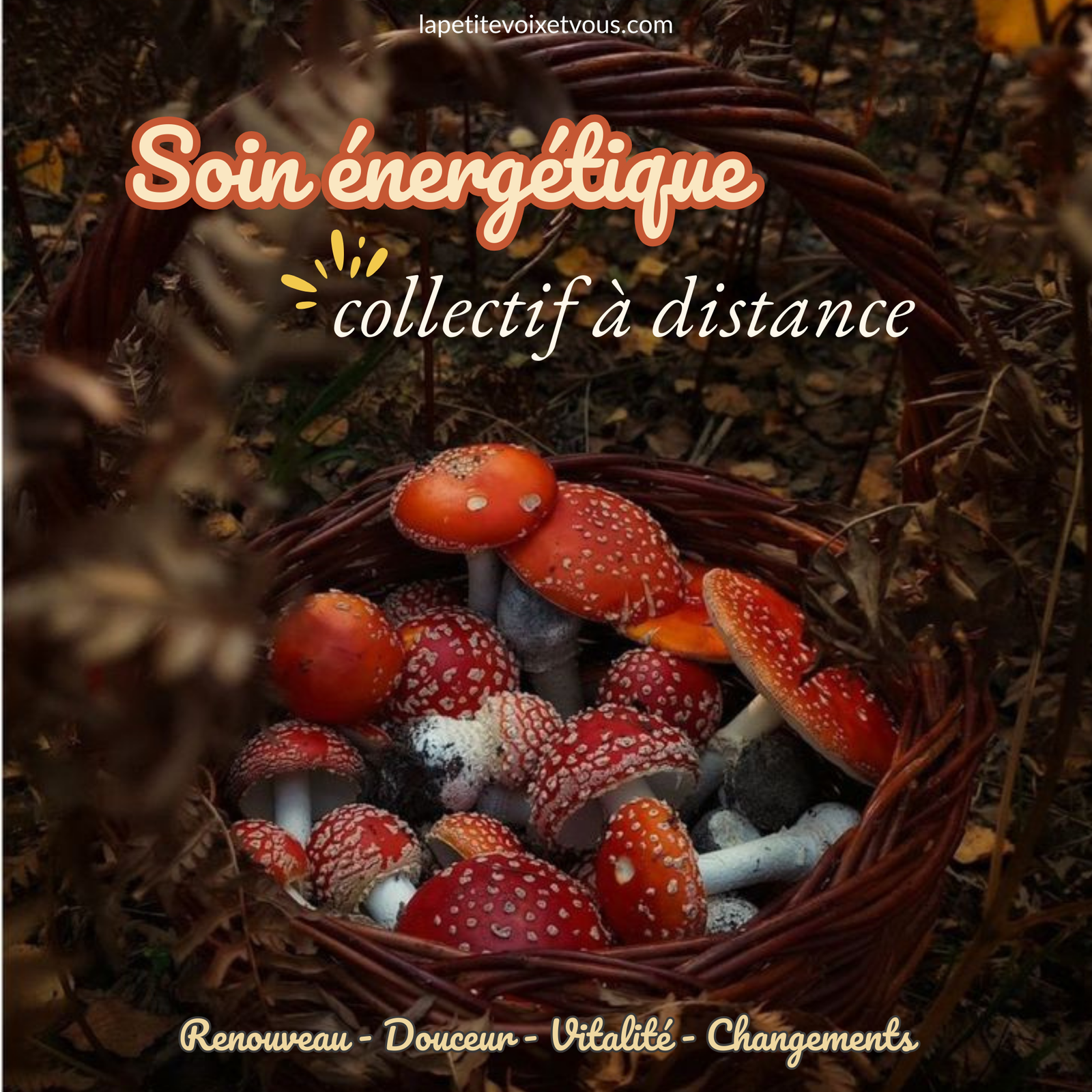 soin collectif septembre