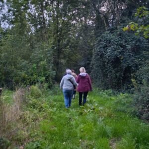 fête de mabon roue de l'année